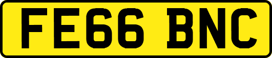 FE66BNC