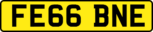 FE66BNE