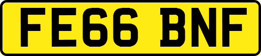 FE66BNF
