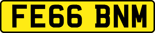 FE66BNM