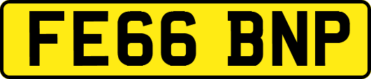 FE66BNP
