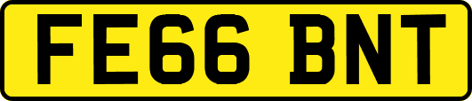 FE66BNT
