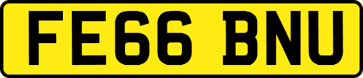 FE66BNU