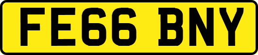 FE66BNY