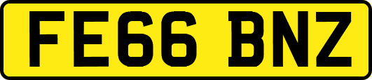 FE66BNZ