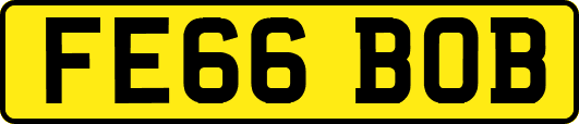 FE66BOB