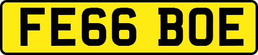 FE66BOE