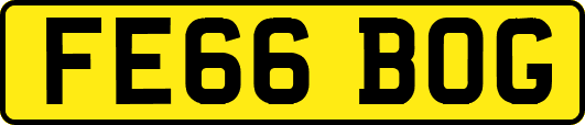 FE66BOG
