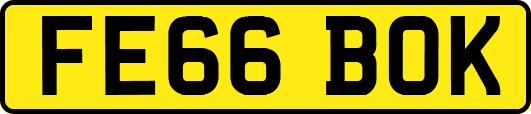 FE66BOK