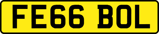 FE66BOL