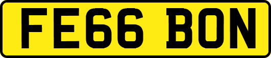 FE66BON