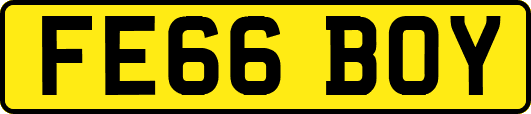 FE66BOY