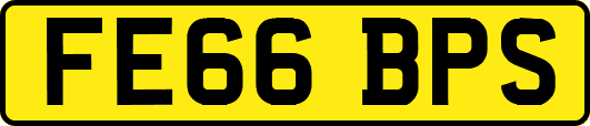 FE66BPS