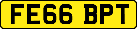 FE66BPT