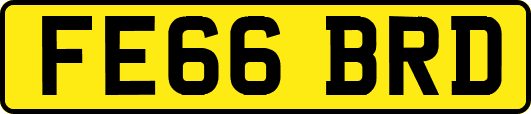 FE66BRD
