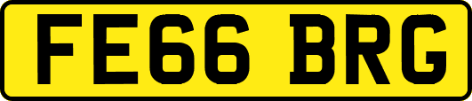 FE66BRG