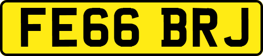 FE66BRJ