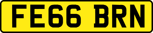 FE66BRN