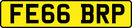 FE66BRP
