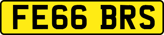 FE66BRS