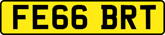 FE66BRT