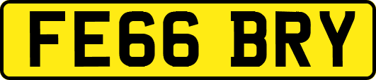 FE66BRY