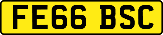 FE66BSC