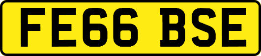 FE66BSE
