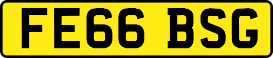 FE66BSG