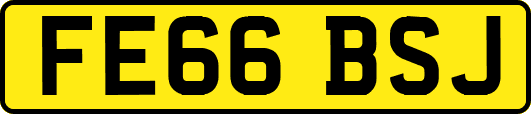 FE66BSJ