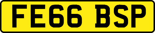 FE66BSP