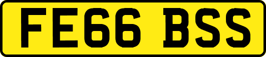 FE66BSS
