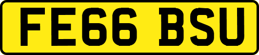 FE66BSU