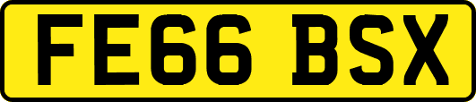 FE66BSX