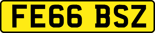 FE66BSZ