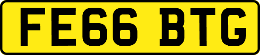 FE66BTG