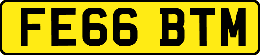 FE66BTM