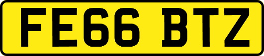 FE66BTZ