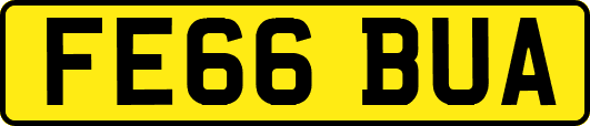 FE66BUA