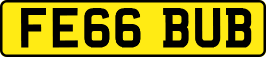 FE66BUB