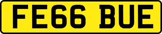 FE66BUE