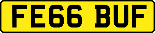 FE66BUF