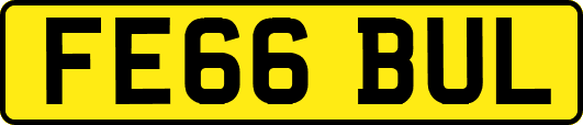 FE66BUL
