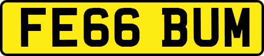 FE66BUM