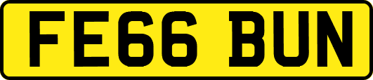 FE66BUN