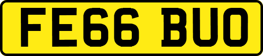 FE66BUO