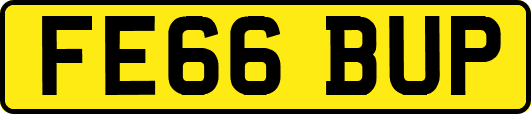 FE66BUP