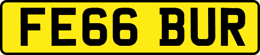 FE66BUR