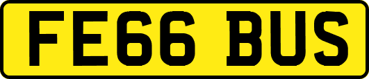 FE66BUS