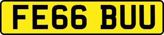 FE66BUU